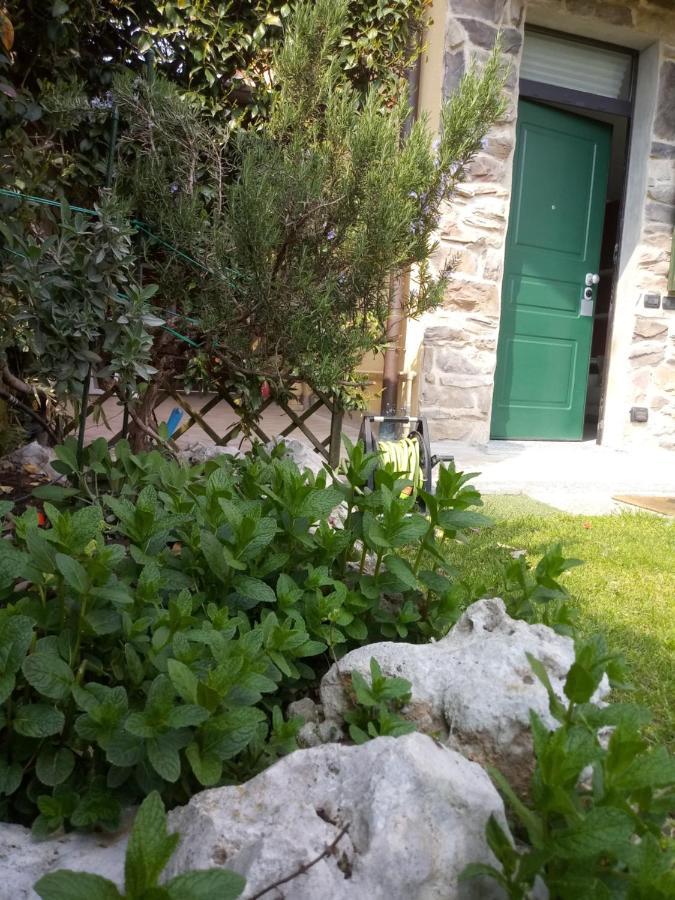 B&B Malpensa Ticino Valley Vizzola Ticino Bagian luar foto